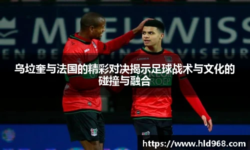 lehu乐虎国际官网