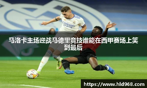 lehu乐虎国际官方网站