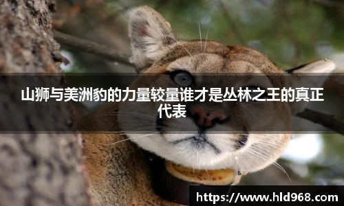 lehu乐虎国际官方网站